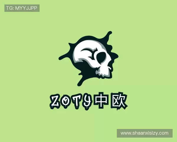 关于zoty中欧